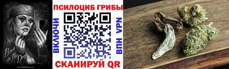 Псилоцибиновые грибы Psilocybine cubensis Сызрань